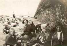 Click on the photograph to enlarge it